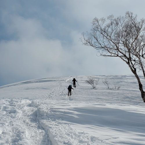 （冬期）徳蔵山・伊吹山　2021.02.14(日) 日帰り