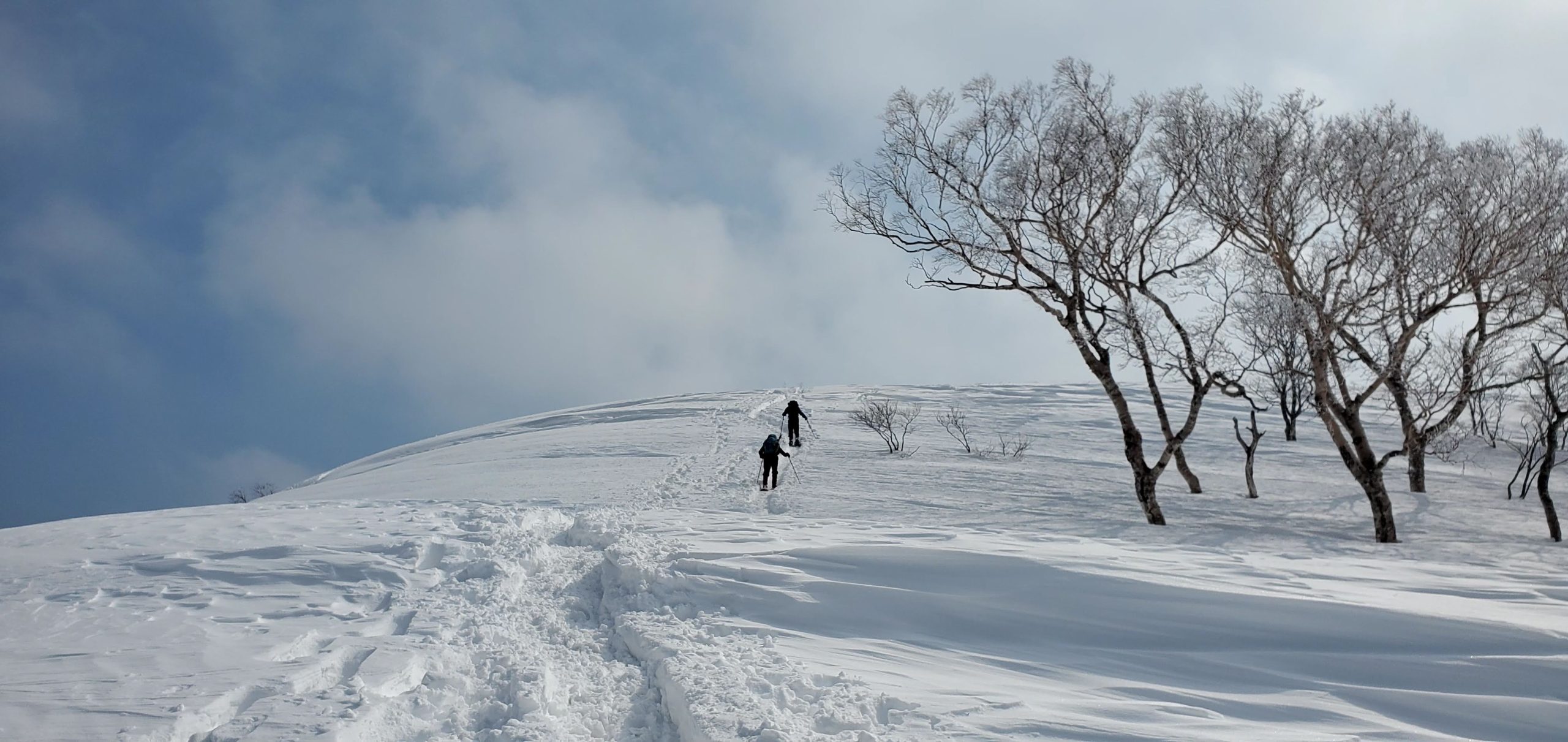 （冬期）徳蔵山・伊吹山　2021.02.14(日) 日帰り